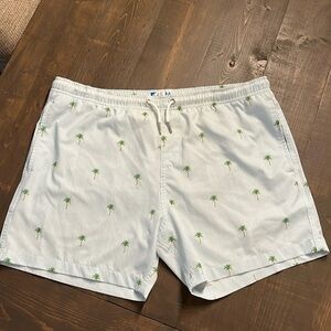Men’s Bermies Palm Stripes Swim Trunk